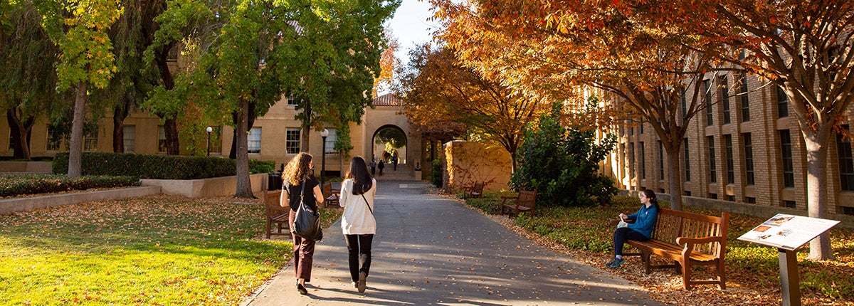 Students walk on campus in the fall