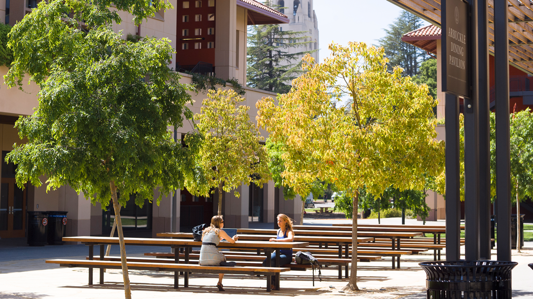 stanford university phd business